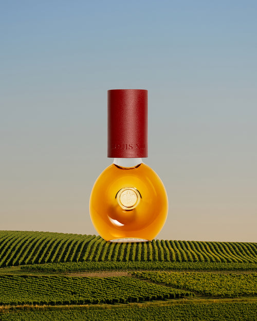 collection-secondary-primary