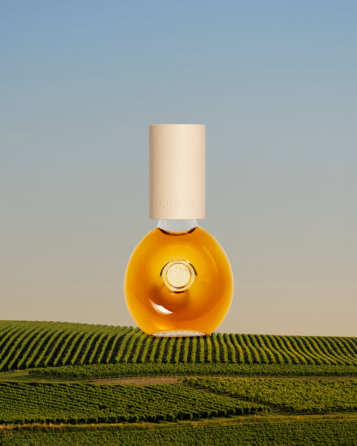 collection-secondary-primary