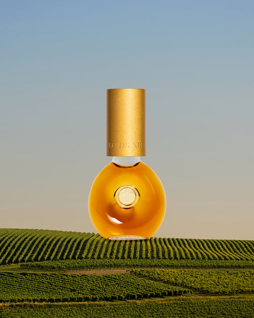 collection-secondary-primary