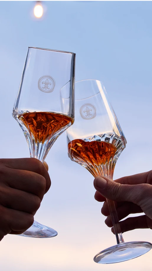 超激得，豊富な 82568 REMY MARTIN LOUIS ⅩⅢ レミーマルタン ルイ13世 箱