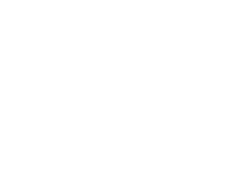 LOUIS XIII Cognac
